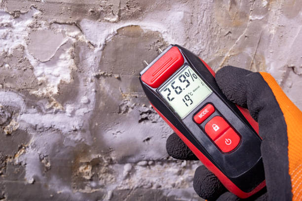 Best Certified Mold Removal  in Monte Sereno, CA