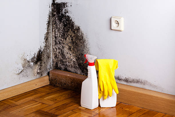 Crawl Space Mold Removal in Monte Sereno, CA